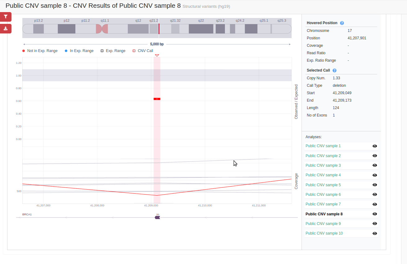 CNV visualization
