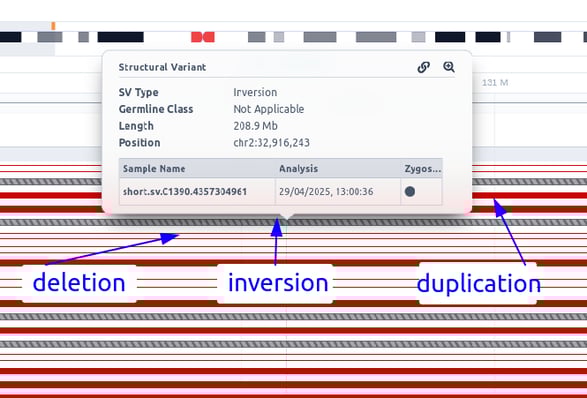 deletion_inversion_dupl