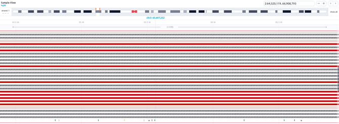 sample_view