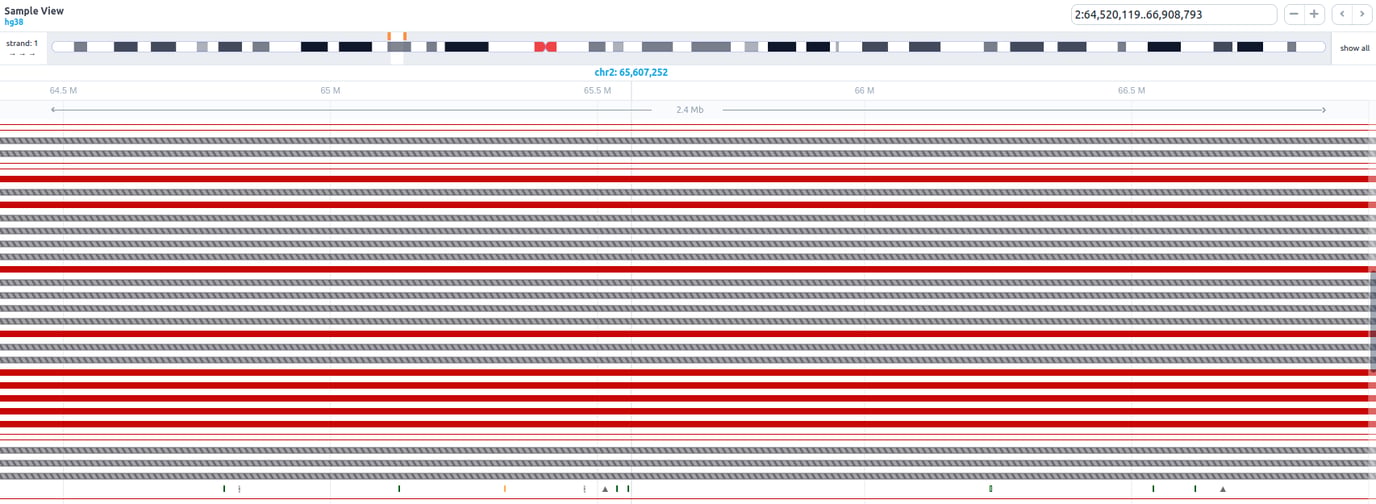 Sample View