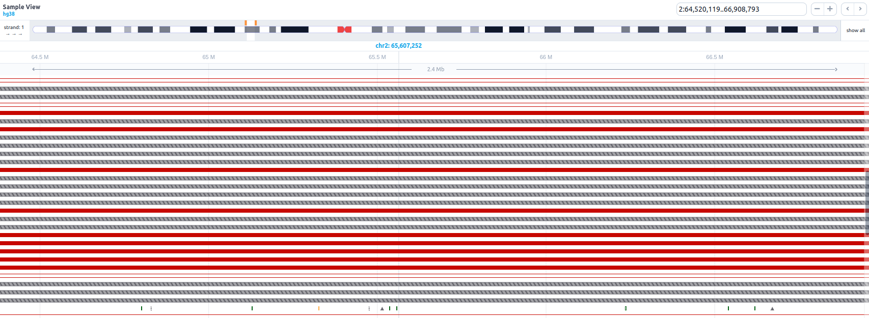 Sample View